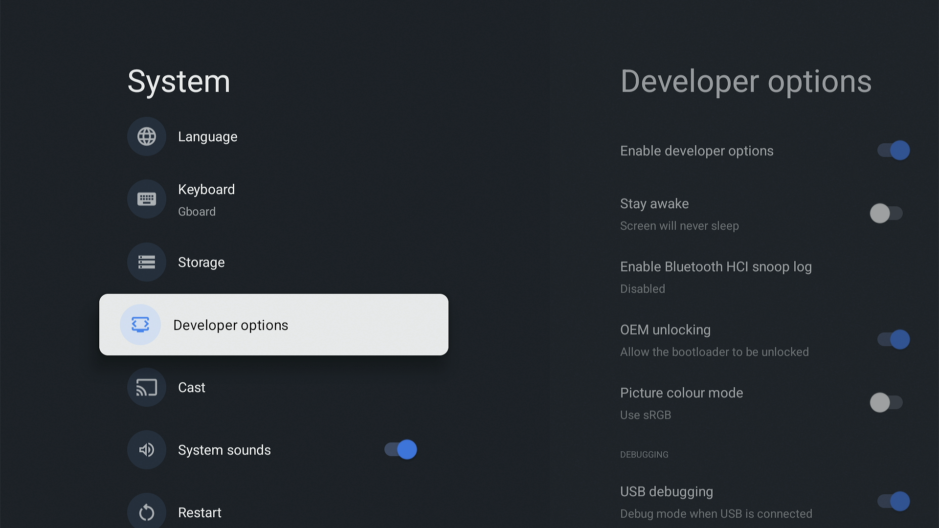 Developer options in Android. USB debugging. OEM unlocking